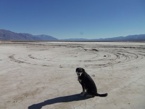 Choppy in Death Valley