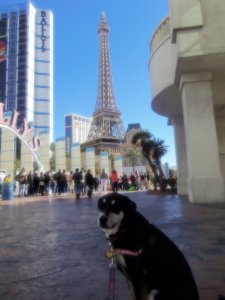 Choppy in Paris