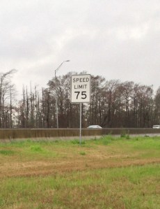 Speed Limit 75
