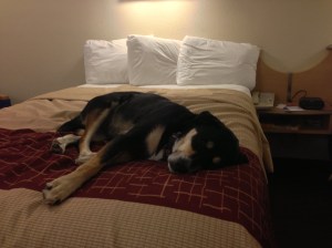 Choppy Sleeping in the Hotel