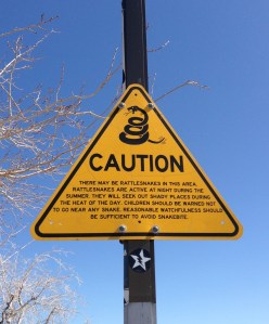 New Mexico Rest Area Snakes