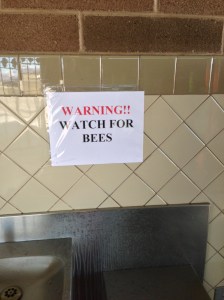 Arizona Rest Area Bees