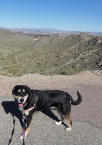 Sort of Tired Choppy