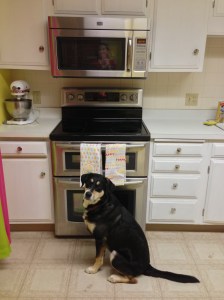 Choppy, Stove and Microwave