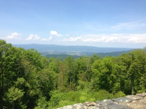 Taking in one of the many, many vistas along the Skyline Drive in Shenandoah National Park. There are so many you get kind of spoiled and stop paying attention to the views, which are all equally (if not more) spectacular.