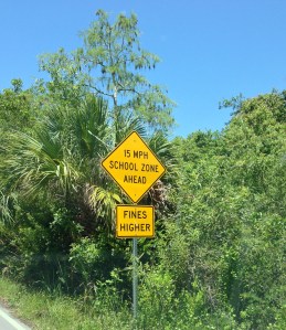 A School Zone. Seriously.