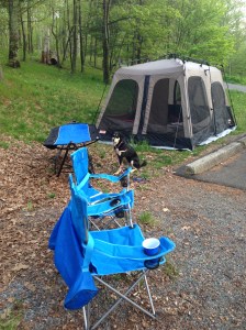 Our campsite in the woods. Note pictured: the giant RV behind where I was taking the picture or the many other campers. Also, I had by far the largest tent at the campground, despite being one person and one dog. And yet I still regularly wish it was a larger tent.