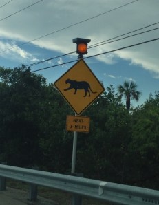 Cougar Crossing