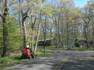 Problem One: Mowing. Apparently, the mowers at Shenandoah National Park think it is appropriate to mow in a campground at 8:00 AM. I beg to differ.