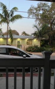 The Monk and the Coconut