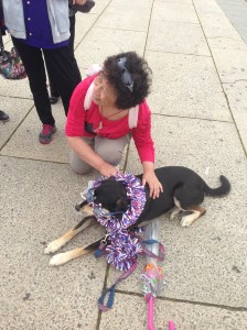Somewhere in Asia, there is a group of people who have pictures with Choppy in front of the Lincoln Memorial. 