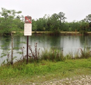 No Kidding, No Swimming