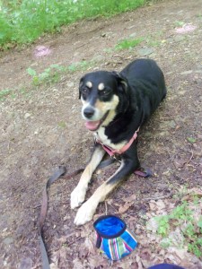 A bit further down the trail, and Choppy is in desperate need of a water break. The happy look is merely Choppy's inability to stop panting for even so long as to take a picture.