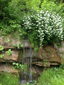 A pretty waterfall near the New River Gorge Bridge. I have nothing exciting to say about it. It's just a pretty picture.