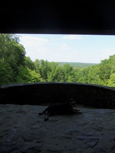 Choppy: still not in good shape. Here she is collapsed in the shade at one of the State Park lookouts. As always, she is less-than-impressed by the scenery.