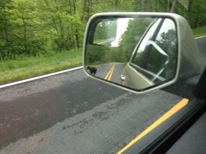 I like to think of this as an artistic picture. More accurately? This is a picture I accidentally took while attempting to get an entirely different picture of the bear (a picture I never ended up getting as the bear scooted off into the woods very quickly after I snapped this picture).