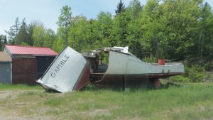 And finally, this. I'm guessing this is one bet that didn't pay off.