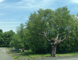 A while ago, I heard about a place called Centralia, Pennsylvania.