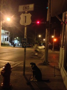 OK, this isn't Maine. This is Key West. Choppy is standing at one end of U.S. 1...