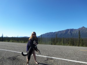 After all of the previous day's troubles getting Choppy to pose, I came up with a way to ensure Choppy looks at the camera. I don't think Choppy really likes it, though.