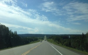 The Alaska Highway: the view I get for hours every day. 