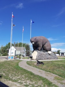 This! And yes, it was awesome. And absolutely as advertised: a giant beaver attraction.