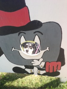 As if the giant, smiling rock was not enough of a reason to stop, there was also this cut out of the rock. Choppy failed to cooperate for the picture. And she certainly wasn't happy with what I was doing.