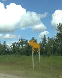 Moose: doubtfully as reflective in real life as this sign was. I do give credit to the Canadians for coming up with a far better warning sign than the plain old diamond signs, though.