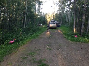 Here is where Choppy and I camped. You'll know us because we're the Americans who are tacky-ing up the place.