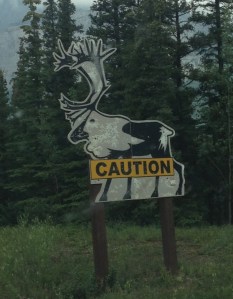 Caribou crossing! This would probably be more effective as a warning without the bullet holes and with the graphic nature of the previous sheep crossing picture. I'd suggest involving Santa and one of the reindeer for fully disturbing effect. If nothing else, every car carrying young kids would insist on going very slowly through the caribou crossing.
