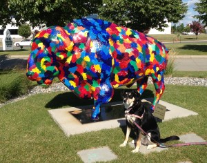 Choppy has a thing about statues. By 'thing,' I mean that she seems to think most of them are alive. We stop at many, many statues so that Choppy can bark at them. Thankfully, rainbow painted bison statues are apparently an exception to Choppy's normal barking.