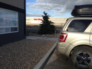 Having mentioned the need to plug in your car during winter in the last post, I thought I would take a picture to illustrate what I meant. These things only become more common the further north I get.