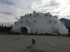 This is a giant igloo on the road between Anchorage and Fairbanks. I don't really have anything to say about this, I just wanted to show off a picture of a giant igloo.