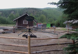 It's a little hard to see this, but as you can see, this is a place for pony rides. However, I'm pretty sure that animal in the back right is not a pony. Even in Alaska.