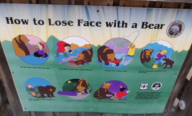 If you were planning on doing any of these things around a bear, I'm pretty sure the sign won't discourage you. Because you likely can't read and the pictures suggest that all of these things not to do are allowed.