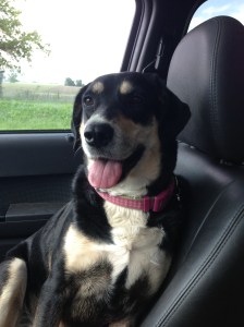 Sometimes, she looks very happy (though really, she's just hot).