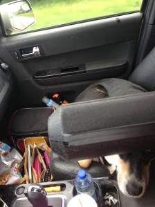 I have no rhyme for this one. She was just very crowded.