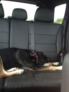 Sometimes she is really tired.