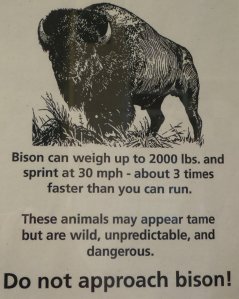 Here is my initial thought on seeing this sign: "Right...like there are going to be bison hanging out at a rest area."