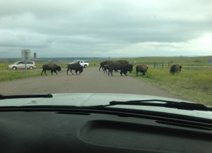 They were in no hurry to get anywhere.