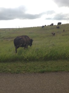 Eventually, they got out of the way. Thankfully.