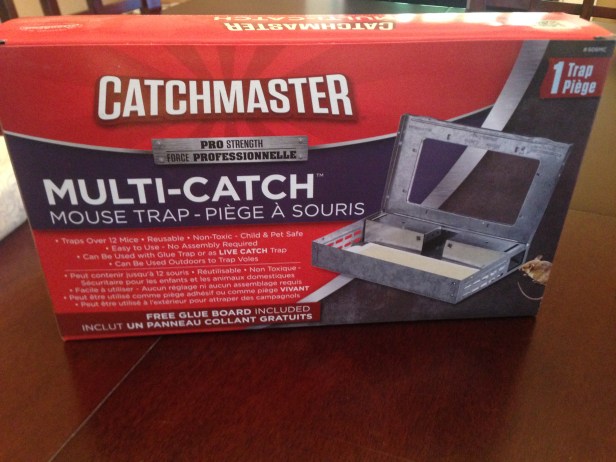 The trap we finally settled on. We'll see if it actually catches the thing (more exciting? If it actually does catch it - I have no idea what we're going to do with the rat).