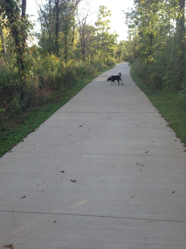 On a late afternoon walk.