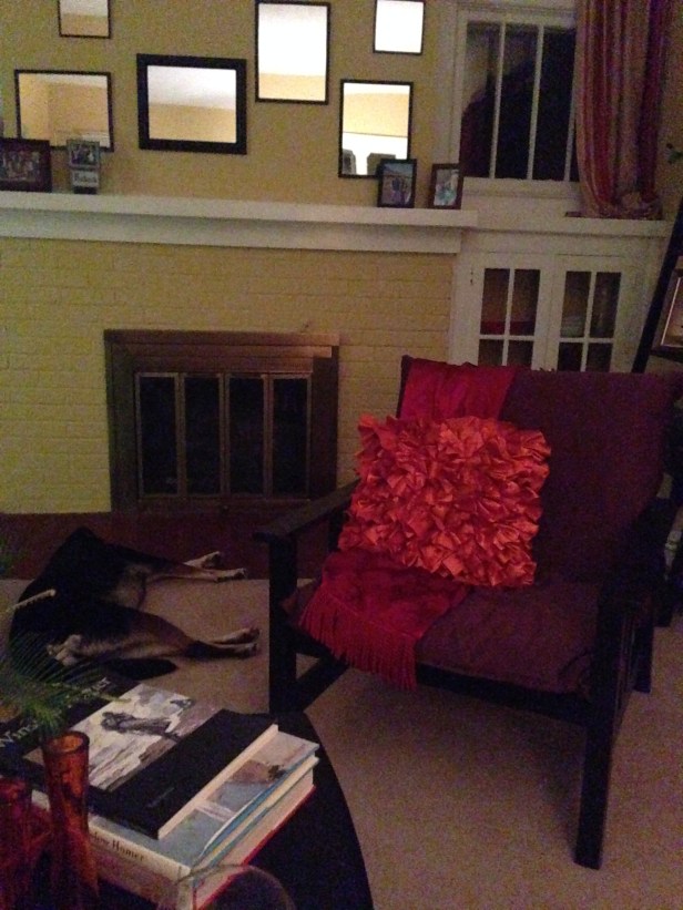 By "quite interested," I mean she doesn't want to leave the fireplace at all. Here she is sleeping in front of it Monday night.