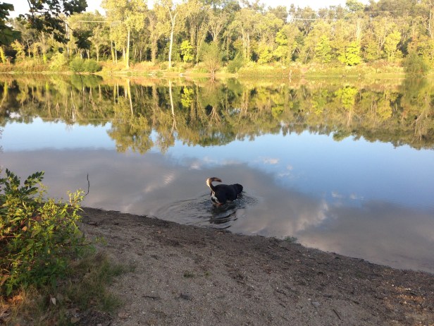 And here she is in the water. This picture was far more scenic than I expected it to be.