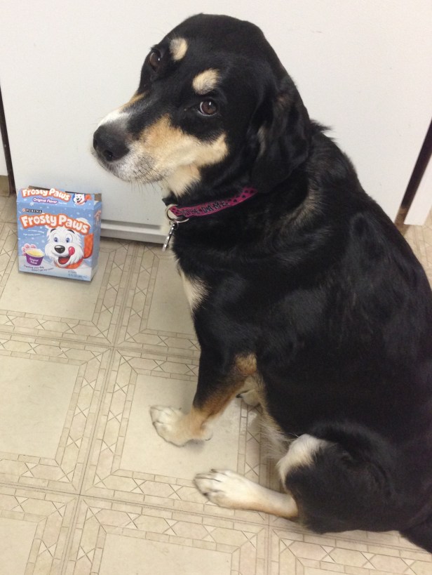 I'm pretty sure Choppy's look is meant to say, "What, no peanut butter flavor?"