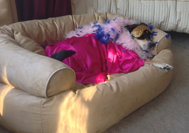 OK, maybe this is a bit of an exaggeration on her love for the bed. But it's pretty close.