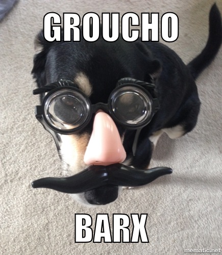 Choppy the Dog - Groucho Barx