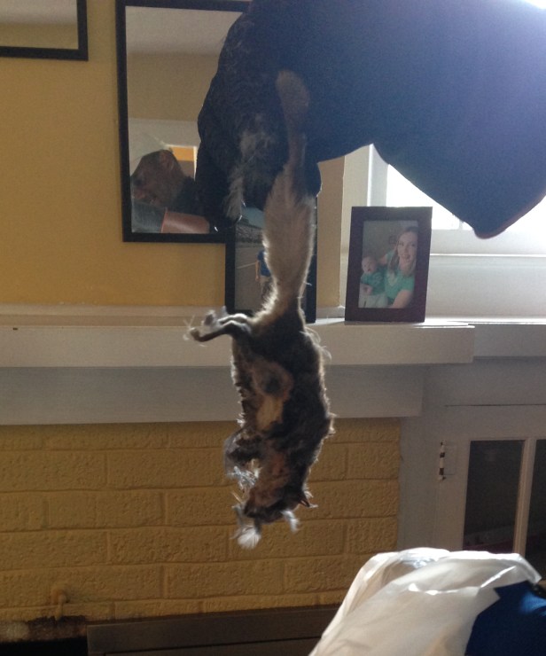 And the dead rat as well. RIP, Burt. 