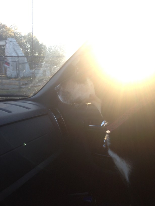 Paul suggested this picture looked like an album cover. In related news, should any band wish to use this for their next album cover, please feel free to contact me to work out a deal. 